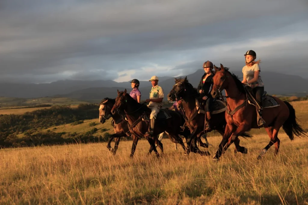 Horseback Safari (12)